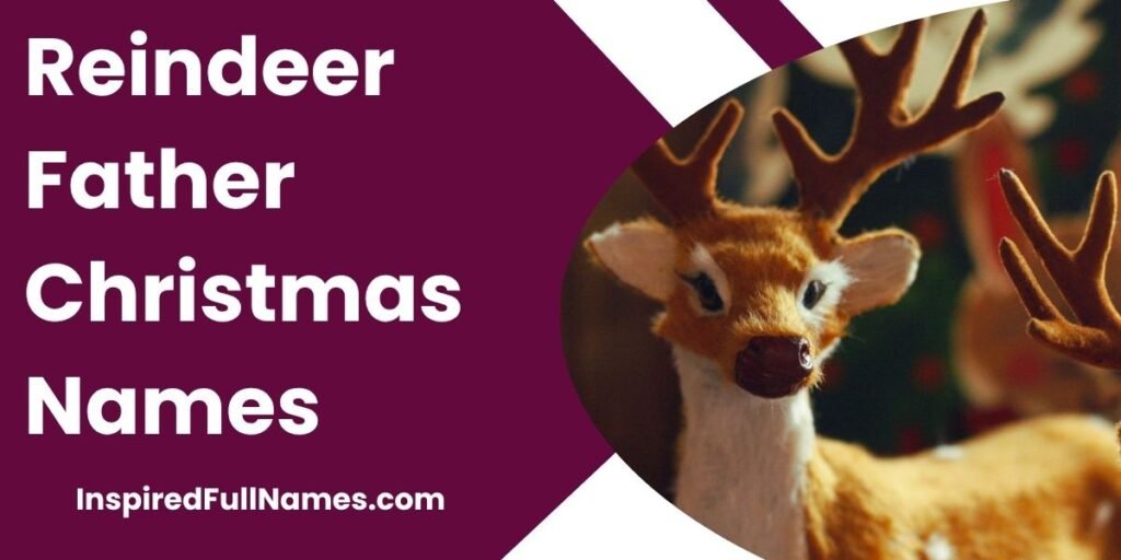 Reindeer Father Christmas Names