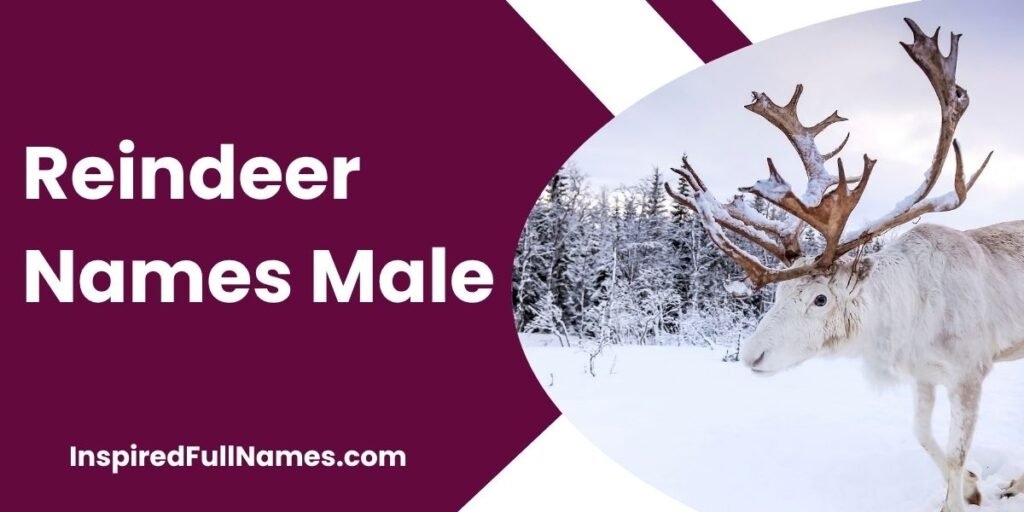 Reindeer Names Male