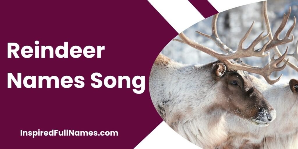 Reindeer Names Song