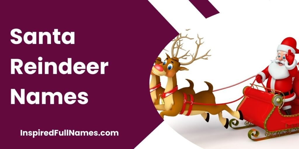 Santa Reindeer Names